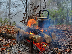 Осень в лесу: идеальный гардероб для комфортного и безопасного похода
