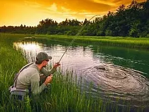 Советы для рыбалки начинающим 