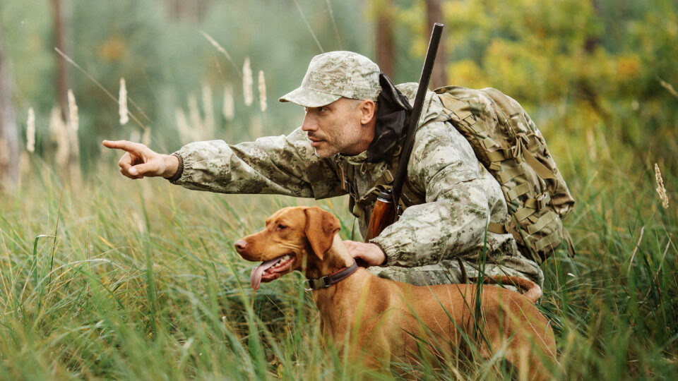 Охотник с собакой фото